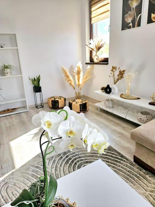 Cozy Sorada 1 Apartment Bragadiru 外观 照片